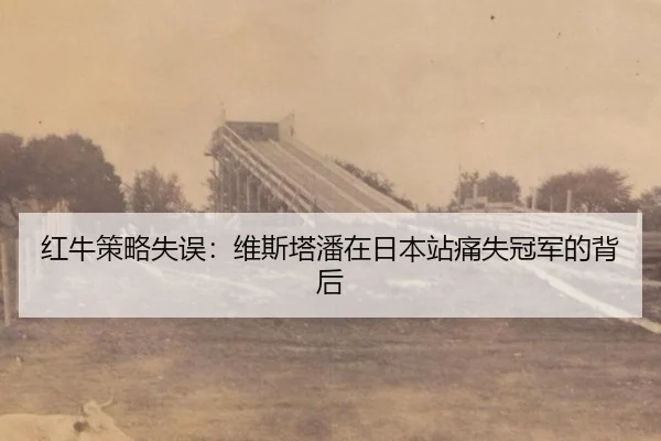 hong-niu-ce-lve-shi-wu-wei-si-ta-pan-zai-ri-ben-zhan-tong-shi-guan-jun-de-bei-hou-2-965.jpg
