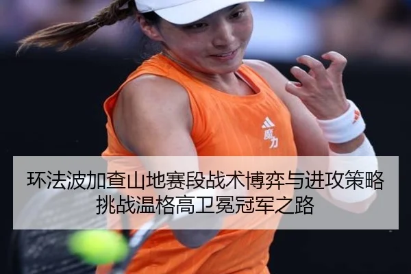 huan-fa-bo-jia-cha-shan-di-sai-duan-zhan-shu-bo-yi-yu-jin-gong-ce-lve-tiao-zhan-wen-ge-gao-wei-mian-guan-jun-zhi-lu-2-219.jpg