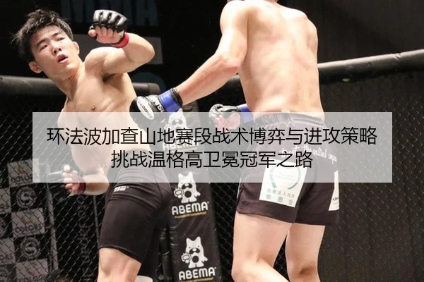 huan-fa-bo-jia-cha-shan-di-sai-duan-zhan-shu-bo-yi-yu-jin-gong-ce-lve-tiao-zhan-wen-ge-gao-wei-mian-guan-jun-zhi-lu-3-684.jpg