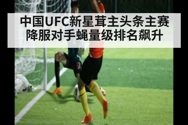 中国UFC新星茸主头条主赛降服对手蝇量级排名飙升